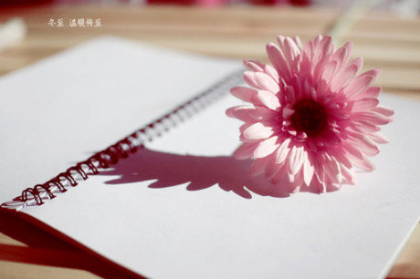 ��С��Ă��˺��v