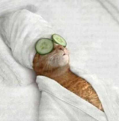 ������Ă��˺��v