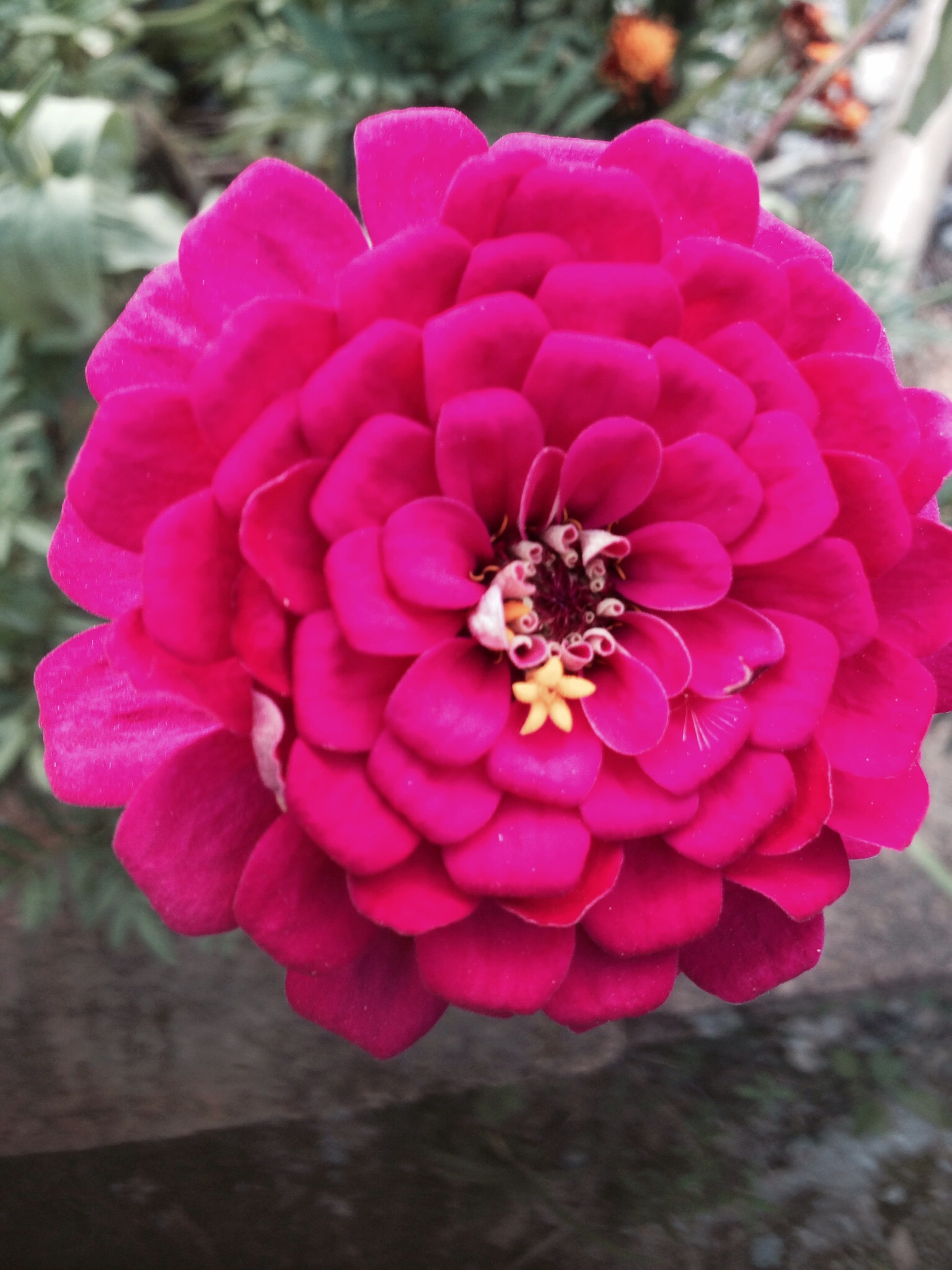 �K�����Ă�(g��)�˺�(ji��n)�v