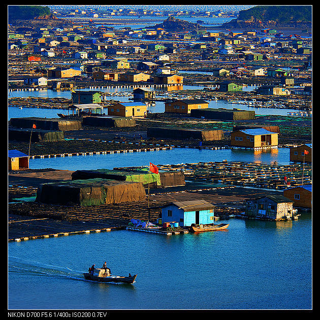 �������Ă��˺��v