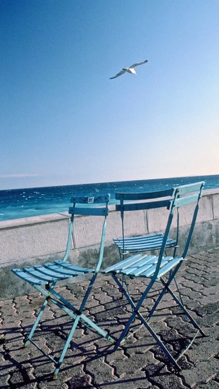 ������Ă��˺��v